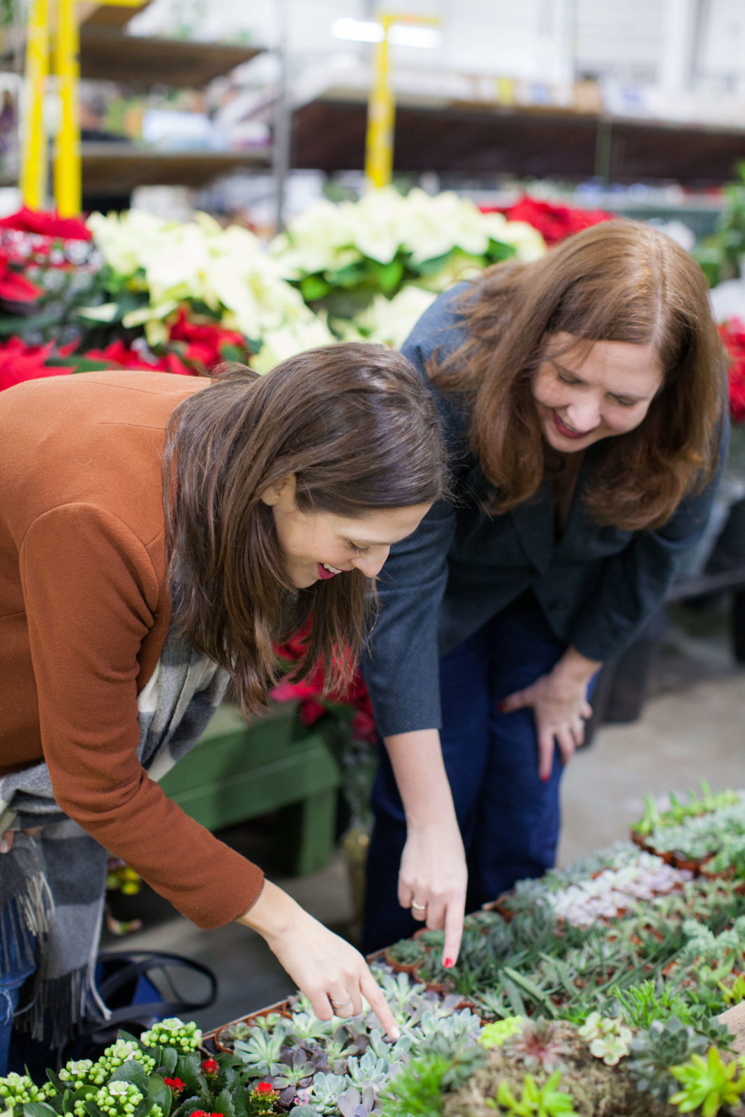 The New England Flower Exchange